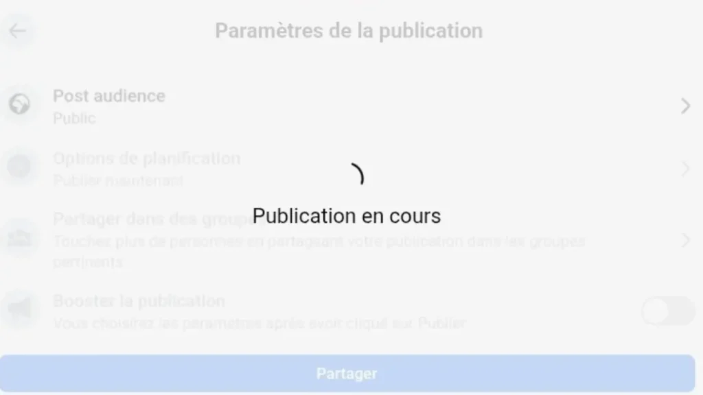 La-Publication-Facebook-Bloquég sur Publication en cours